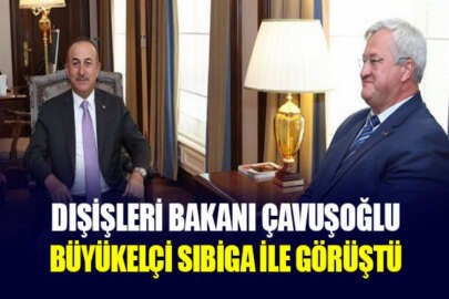 Dışişleri Bakanı Çavuşoğlu, Ukrayna Büyükelçisi Sıbiga ile görüştü