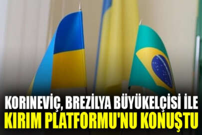 Ukrayna Cumhurbaşkanının Kırım Temsilcisi, Brezilya Büyükelçisiyle Kırım Platformu'nu görüştü