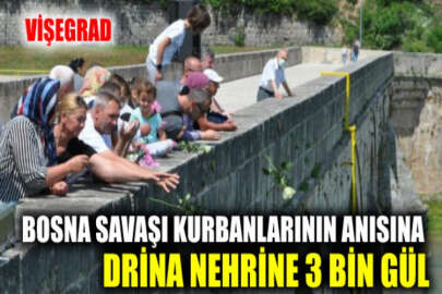 Bosna Savaşı'nda diri diri yakılan 3 bin Boşnak güllerle anıldı