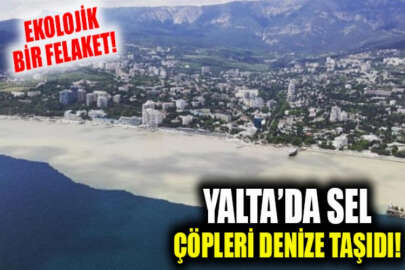 “Yalta Körfezi’nde yaşananlar ekolojik bir felakettir”