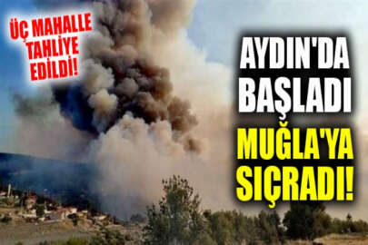 Aydın'da başlayan yangın Muğla'ya sıçradı!
