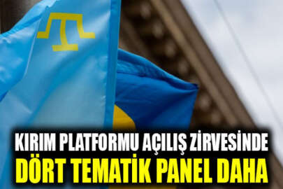 Kırım Platformu Açılış Zirvesinde 4 tematik panel daha düzenlenecek