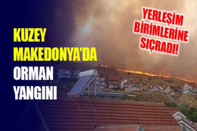 Kuzey Makedonya'da orman yangınları etkili oldu