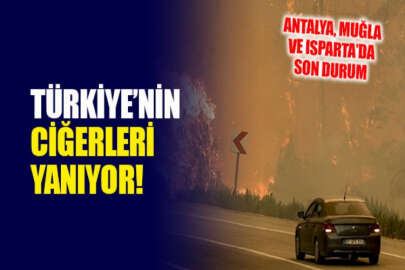Türkiye'nin ciğerleri bir haftadır yanıyor!