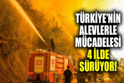 Türkiye'nin alevlerle mücadelesi 4 ilde sürüyor