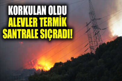 Muğla'da alevler termik santrale sıçradı