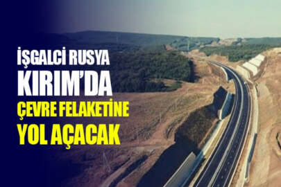 İşgalciler, yol inşaatı için Kırım'da binlerce nadir türde ağacı kesecek