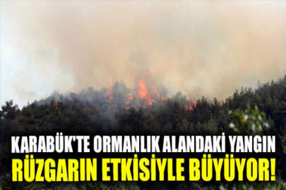 Karabük'te ormanlık alanda çıkan yangına müdahale ediliyor
