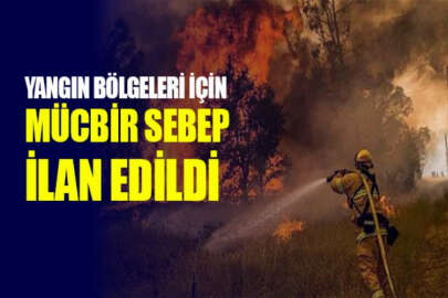 Orman yangınlarından etkilenen ilçeler için mücbir sebep hali ilan edildi