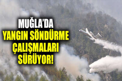 Muğla'da devam eden 5 yangın kontrol altına alınmaya çalışılıyor