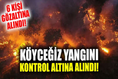 Tarım ve Orman Bakanı Pakdemirli, Köyceğiz ve Manavgat yangınının kontrol altına alındığını bildirdi