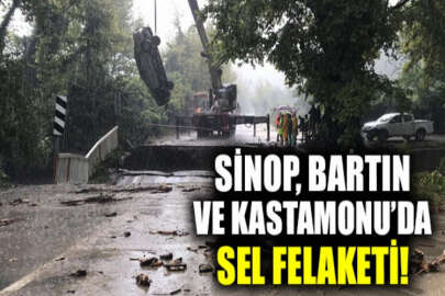 Şiddetli yağış Karadeniz'de sel ve heyelana neden oldu