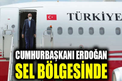 Cumhurbaşkanı Erdoğan, selden etkilenen Bozkurt'ta