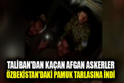 Taliban'dan kaçan Afgan askerler, Özbekistan'daki pamuk tarlasına iniş yaptı