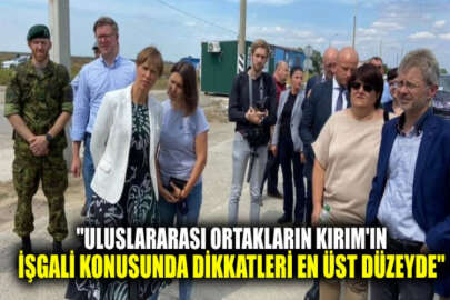 Estonya Cumhurbaşkanı ve Çekya Senato Başkanı, Kırım Platformu için Ukrayna'da