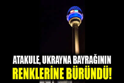 Ukrayna Bayrak Günü, Türkiye'de coşkuyla kutlandı