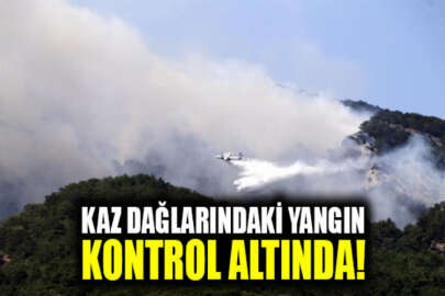 Tarım ve Orman Bakanı Pakdemirli: Kaz Dağları yangını kontrol altına alındı