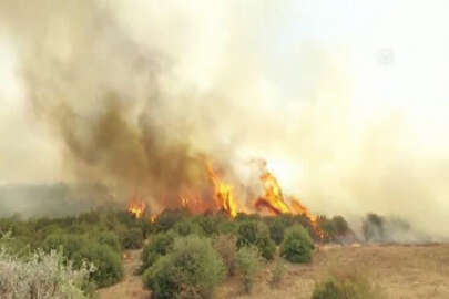 Manisa'da makilik alanda çıkan yangın kontrol altına alındı