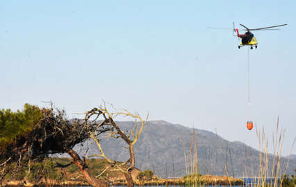 Türk para sporculardan Varşova'da altın başarı! Tümü, kota alarak yurda döndü