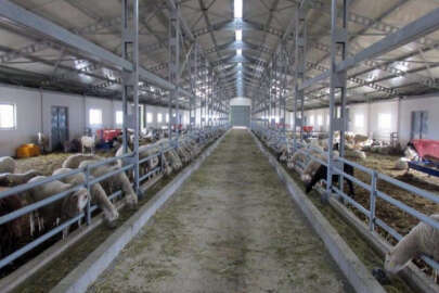 Ankara merkezli 16 ildeki FETÖ soruşturmalarında 53 gözaltı kararı