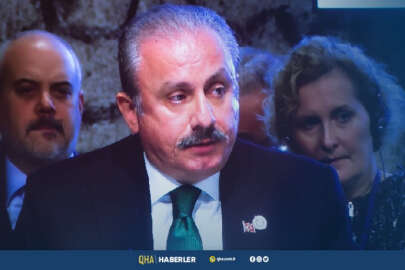 TBMM Başkanı Şentop: Türkiye, Kırım'ın ilhakını tanımayacaktır