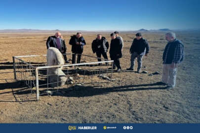 Türk ve Moğol araştırmacıları Orhun Vadisi’nde Türk tarihine ışık tutacak keşifler için inceleme yaptı