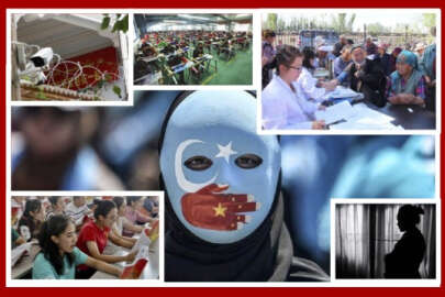 Sekiz ülkeden Uygur Türklerinin DNA'sını toplayan firmalara karşı yaptırım çağrısı