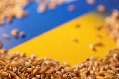 Çavuşoğlu ve Lavrov, Tahıl Koridoru Anlaşması için görüştü