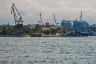 Ukrayna, Kırım'dan çalıntı tahıl taşıyan 5 Rus gemisine el koyma kararı aldı