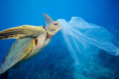 5 Haziran Dünya Çevre Günü