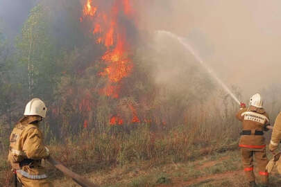 Kazakistan'da 60 bin hektar ormanlık alan küle döndü