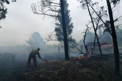 Kazakistan'daki yangının yerleşim yerlerine yayılması önlendi