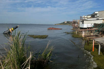 Odesa kıyılarında deniz suyundaki kirlilik görüntülendi