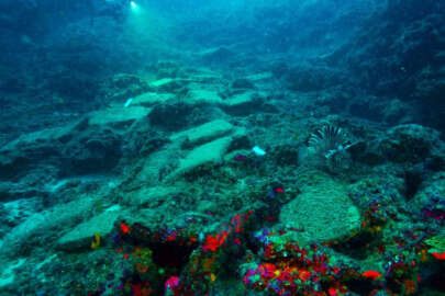 Türkiye, Hükümetlerarası Oşinografi Komisyonu üyeliğine yeniden seçildi