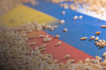 Rusya, Afrika ülkelerine tahıl vaadini yerine getirebilecek mi?