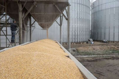 Zelenskıy, Kenya'da tahıl merkezi kurma sözü verdi