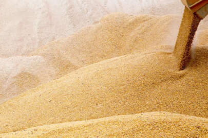 Ukrayna, Polonya ve Litvanya'dan tahıl için ortak anlaşma