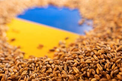 Ukrayna, tahıl ticareti için Romanya ve Moldova ile anlaştı
