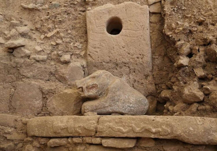 Göbeklitepe’de gerçek boyutlu ve boyalı domuz heykeli