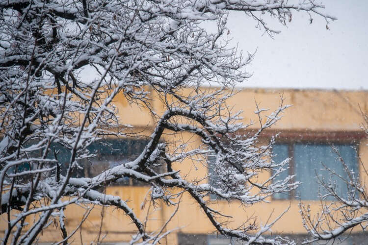 Özbekistan'dan kış manzaraları