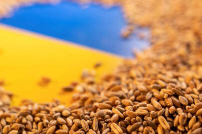 Ukrayna Başbakanından tahıl ihracatı çağrısı