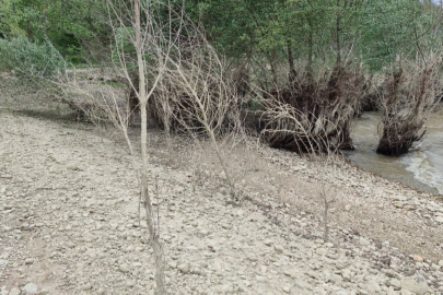 İşgal altındaki Kırım'da nehirler kurumaya başladı