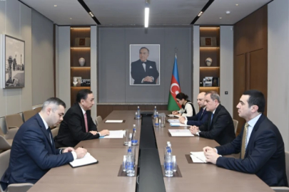 TDT Genel Sekreteri ve Azerbaycan Dışişleri Bakanı Rusya'nın düşürdüğü uçağı konuştu