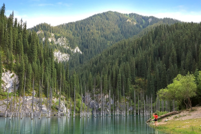 Kazakistan’ın orman örtüsü artıyor: 2030 hedefi 14,5 milyon hektar