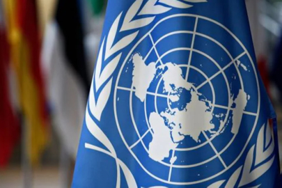 Ukrayna'da savaş devam ederken BMGK Dünya At Günü'nü oyladı