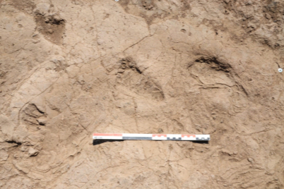 Hatay’da 7 bin yıllık insan ayak izleri keşfedildi!