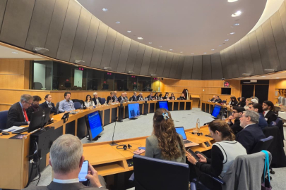 Ahıska Türklerinin çığlığı Avrupa Parlamentosunda: "Adalet zamanı geldi"