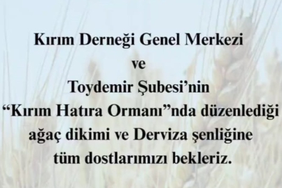 Polatlı Toydemir'de Derviza Şenliği heyecanı yaşanacak