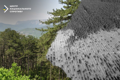 Rus işgali altındaki Kırım’da “üzüm bağları” bahanesiyle orman kıyımı