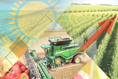 Çinli şirketler Kazakistan tarımını kuşatıyor